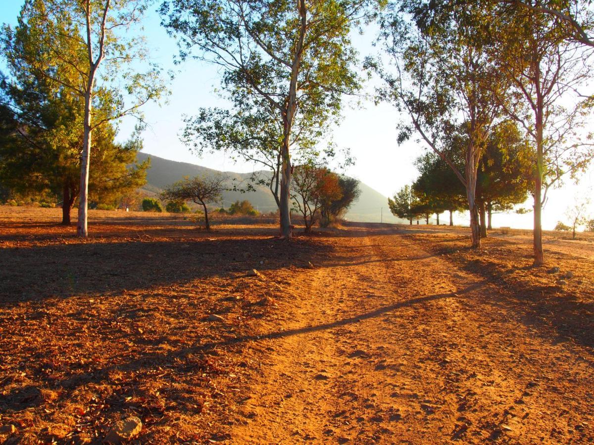 Casa Mayoral B&B Pet Friendly Valle de Guadalupe Luaran gambar