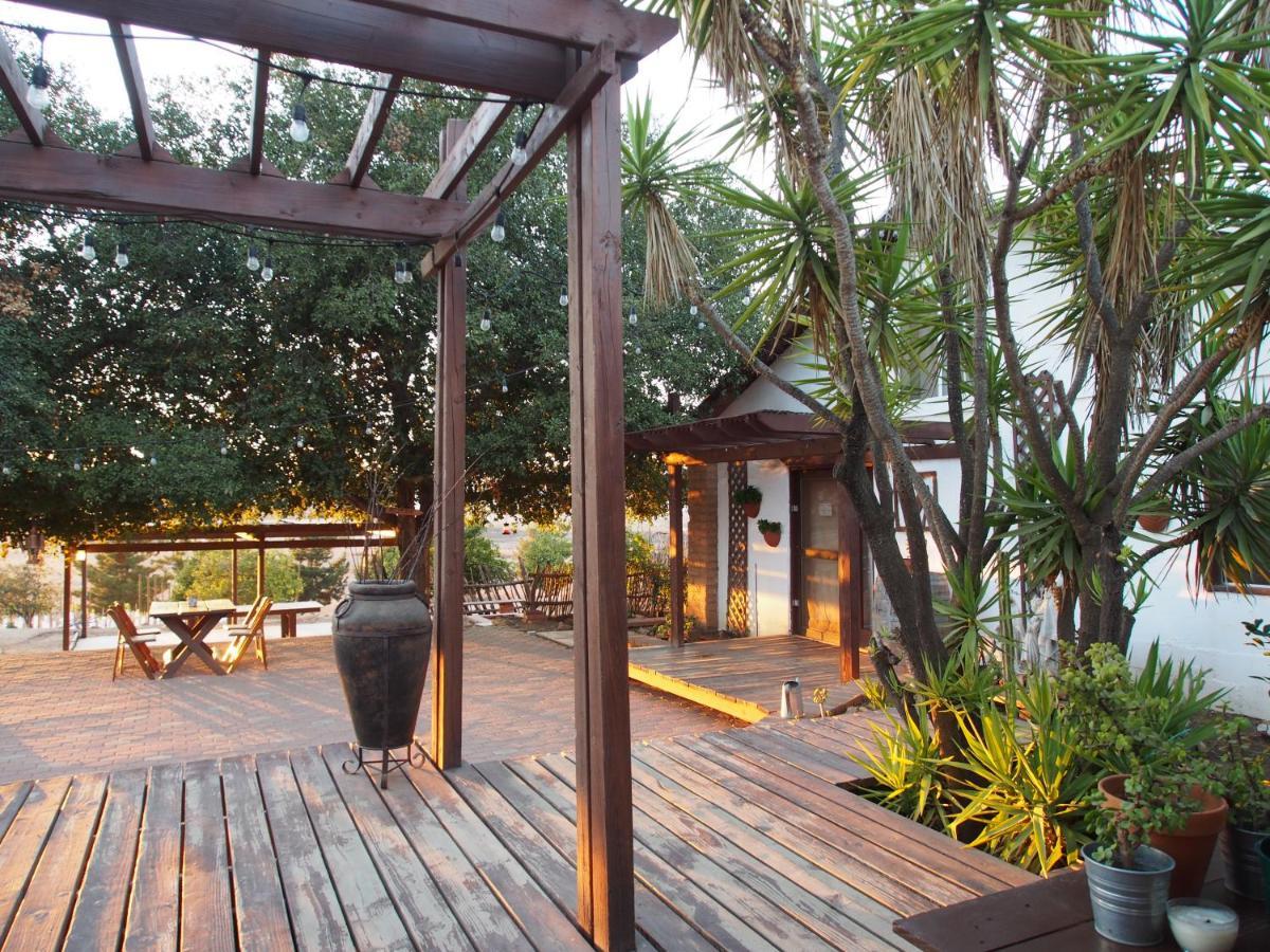 Casa Mayoral B&B Pet Friendly Valle de Guadalupe Luaran gambar