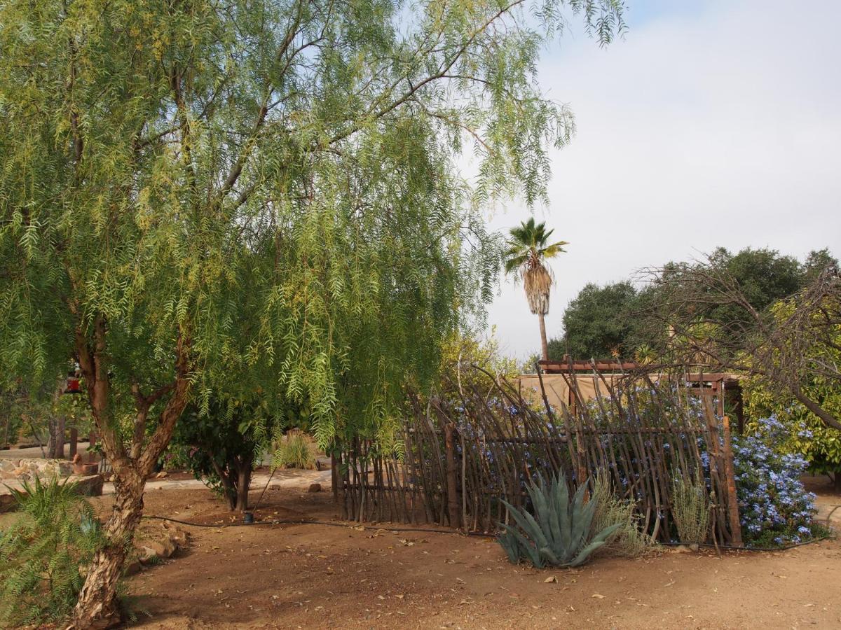 Casa Mayoral B&B Pet Friendly Valle de Guadalupe Luaran gambar