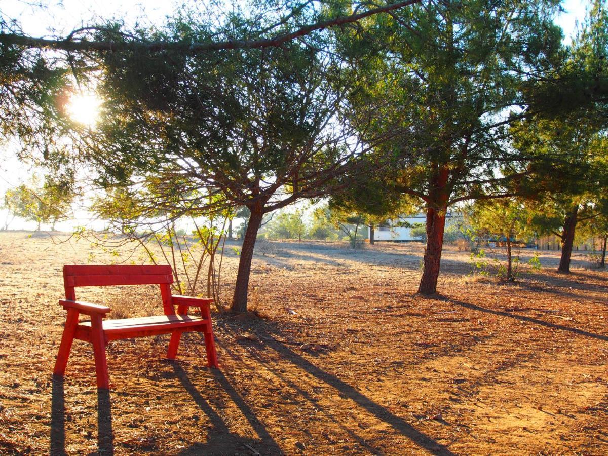 Casa Mayoral B&B Pet Friendly Valle de Guadalupe Luaran gambar