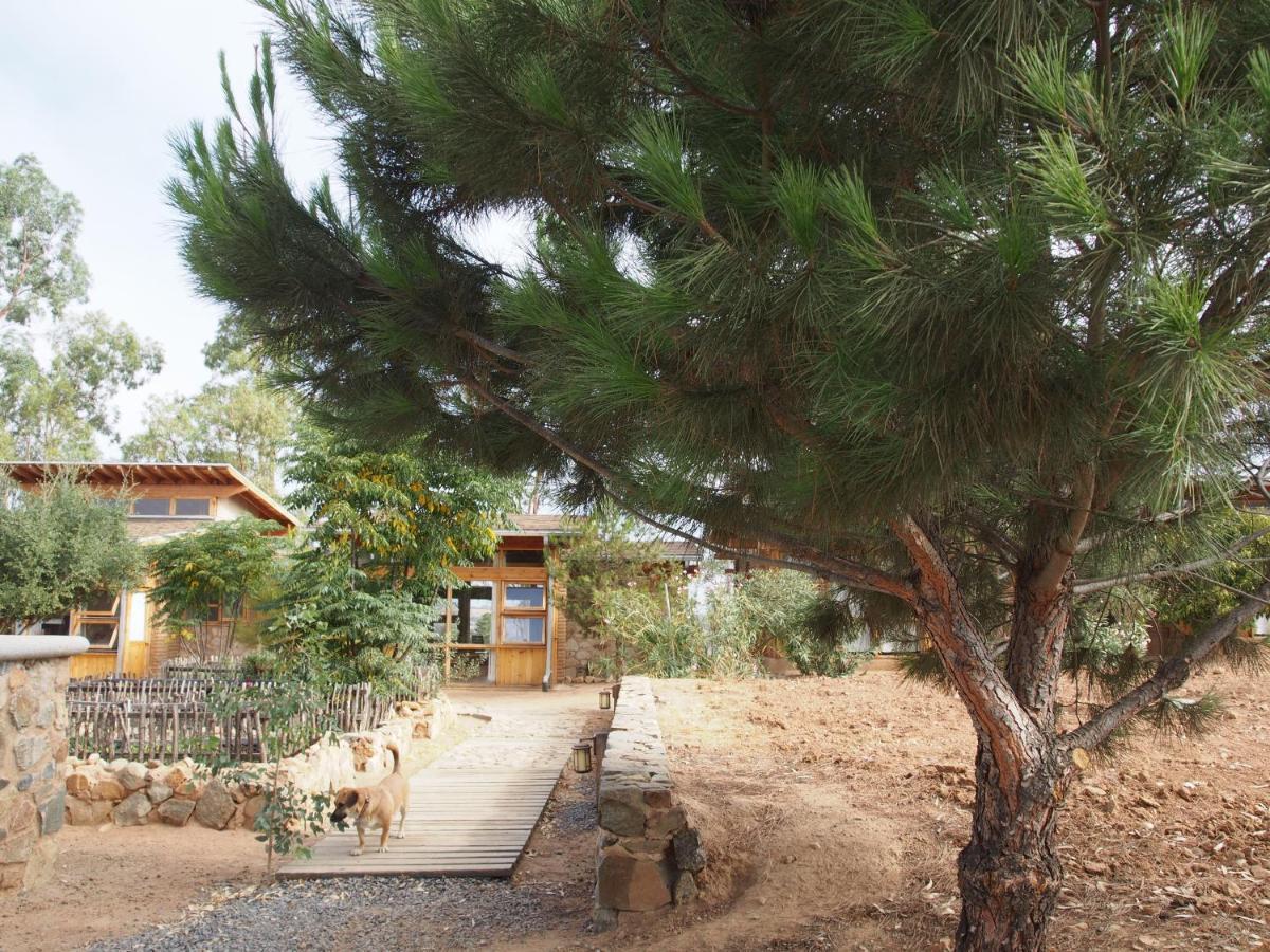Casa Mayoral B&B Pet Friendly Valle de Guadalupe Luaran gambar