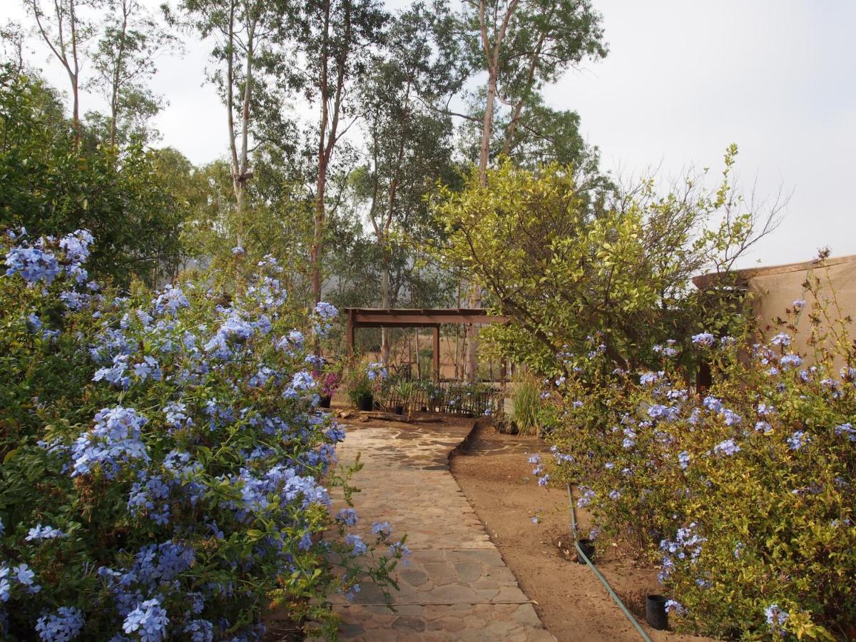 Casa Mayoral B&B Pet Friendly Valle de Guadalupe Luaran gambar