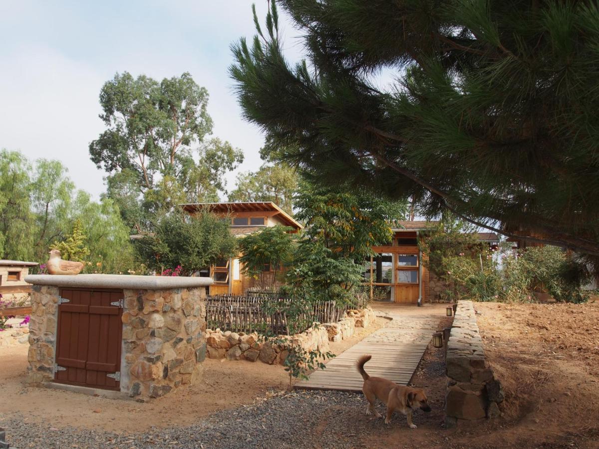 Casa Mayoral B&B Pet Friendly Valle de Guadalupe Luaran gambar
