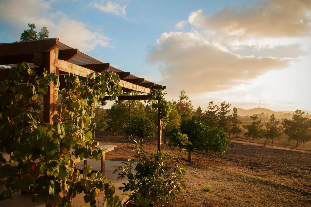 Casa Mayoral B&B Pet Friendly Valle de Guadalupe Luaran gambar
