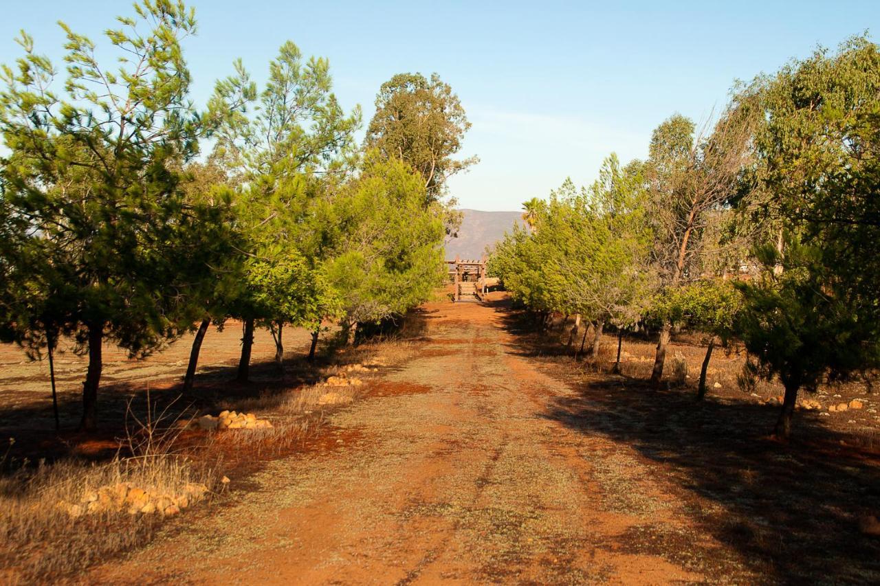 Casa Mayoral B&B Pet Friendly Valle de Guadalupe Luaran gambar