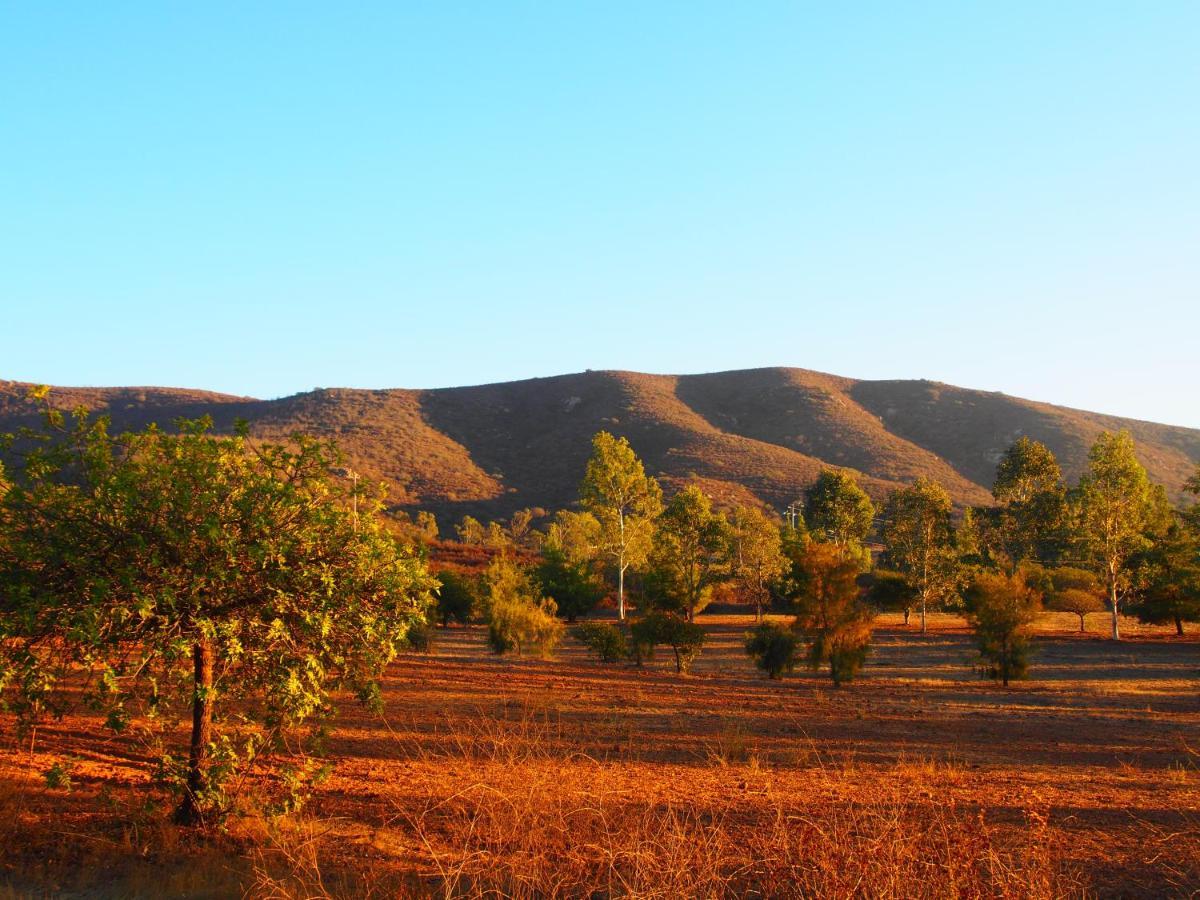 Casa Mayoral B&B Pet Friendly Valle de Guadalupe Luaran gambar