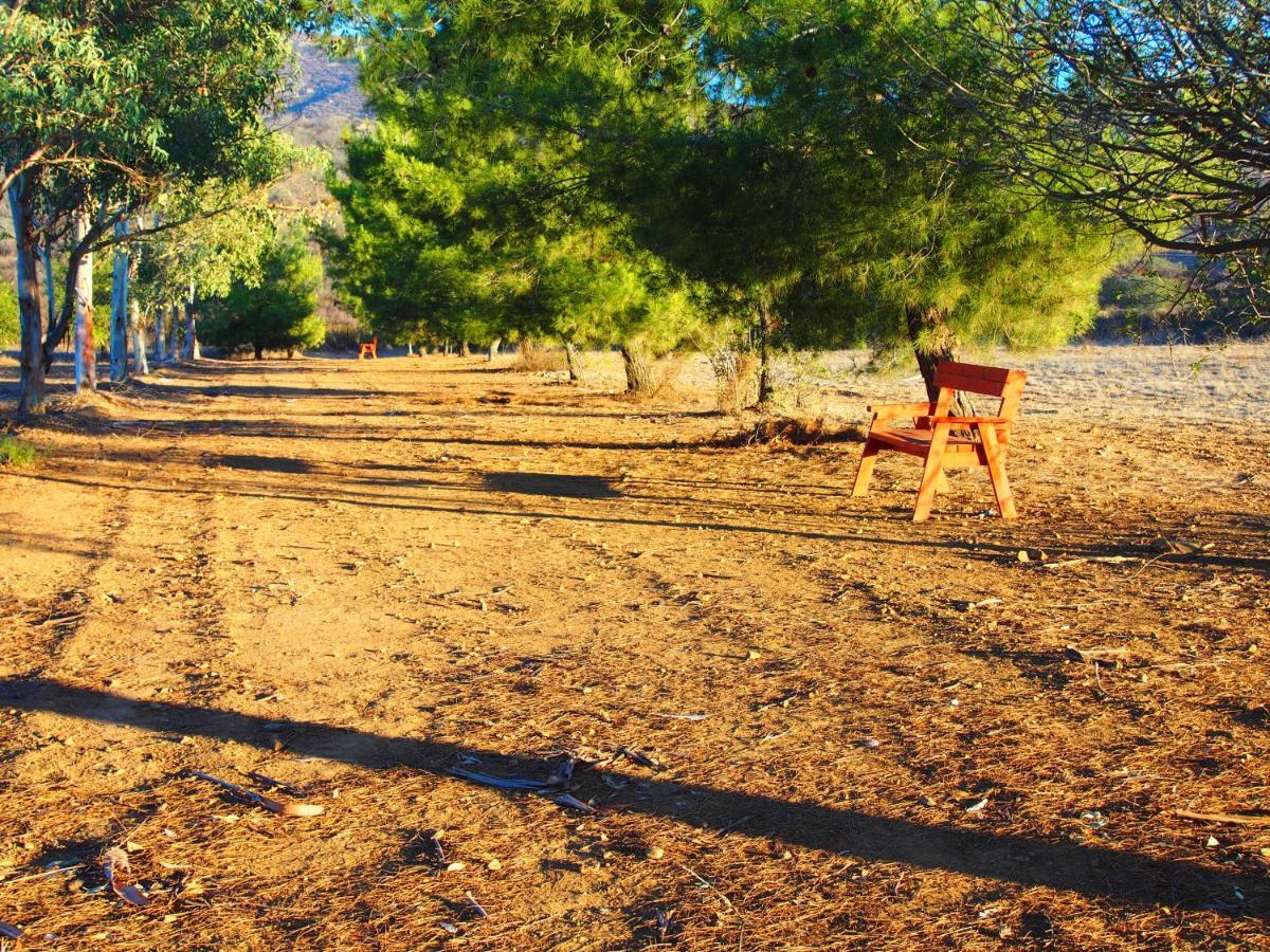 Casa Mayoral B&B Pet Friendly Valle de Guadalupe Luaran gambar