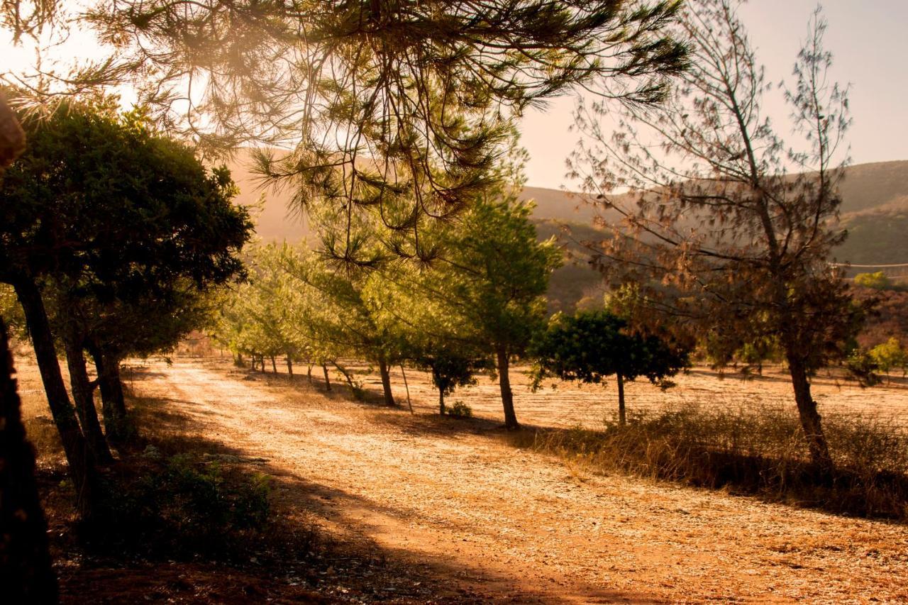 Casa Mayoral B&B Pet Friendly Valle de Guadalupe Luaran gambar