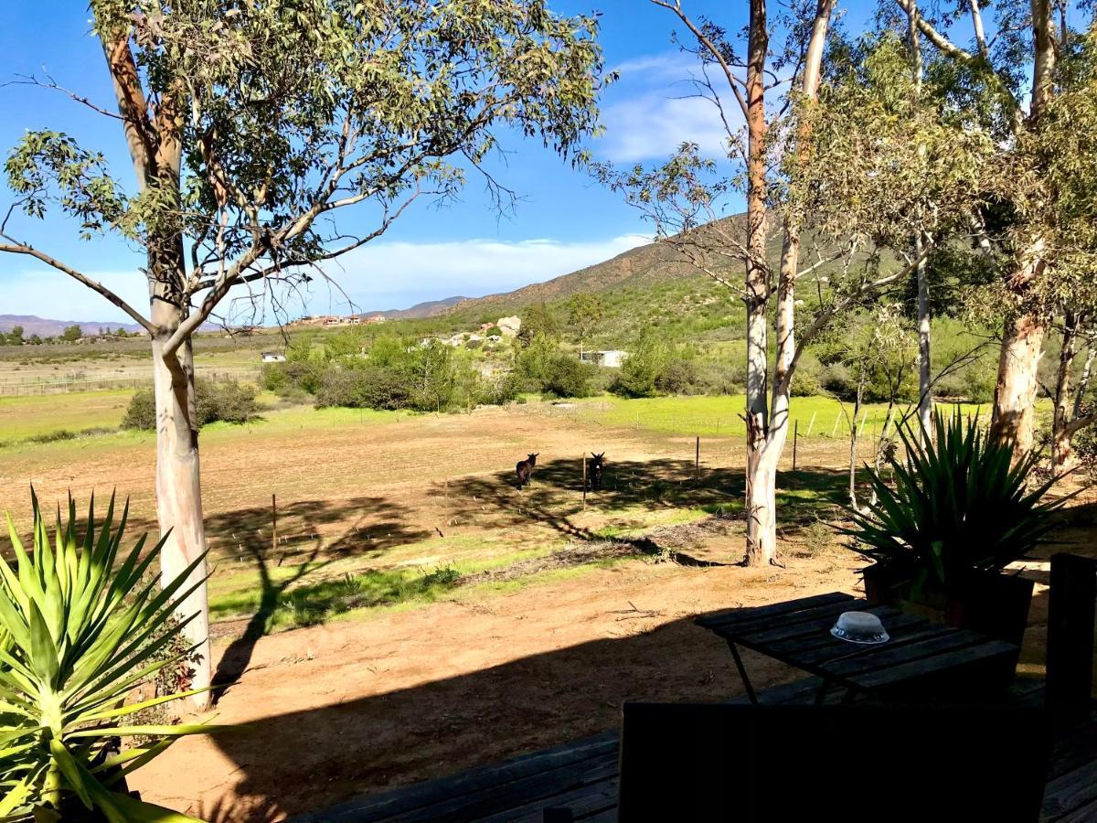 Casa Mayoral B&B Pet Friendly Valle de Guadalupe Luaran gambar