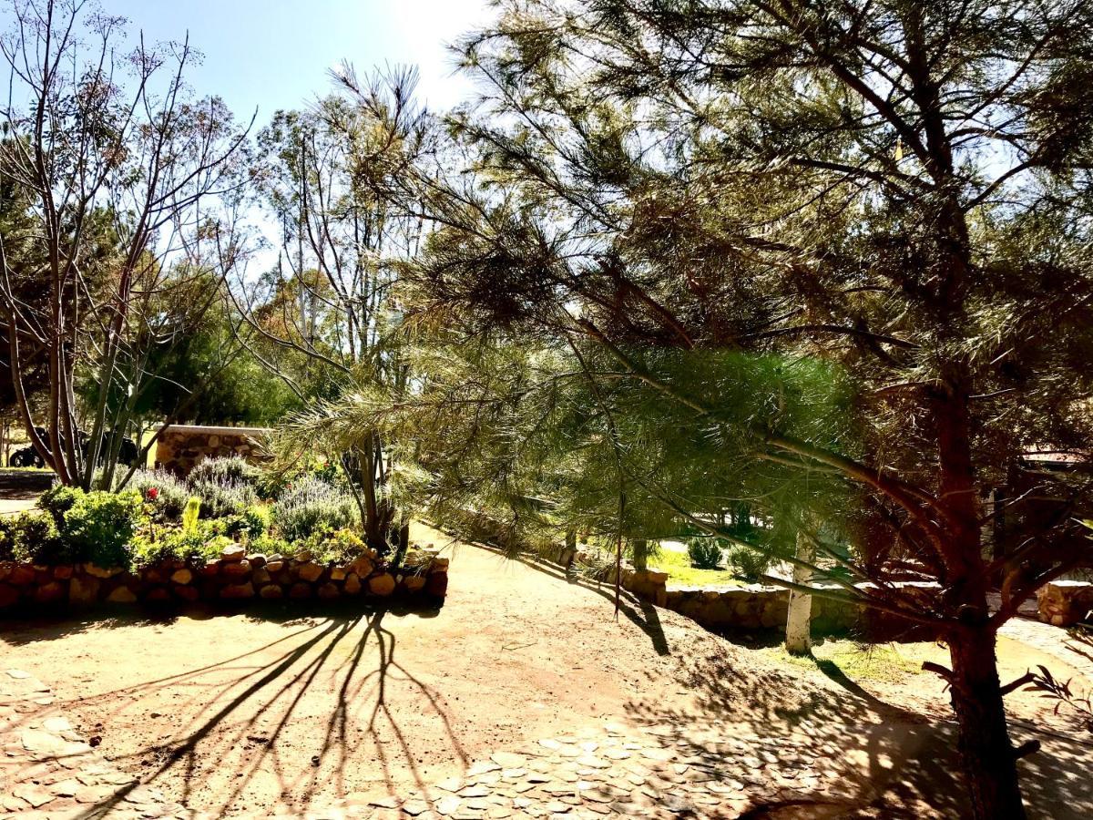 Casa Mayoral B&B Pet Friendly Valle de Guadalupe Luaran gambar