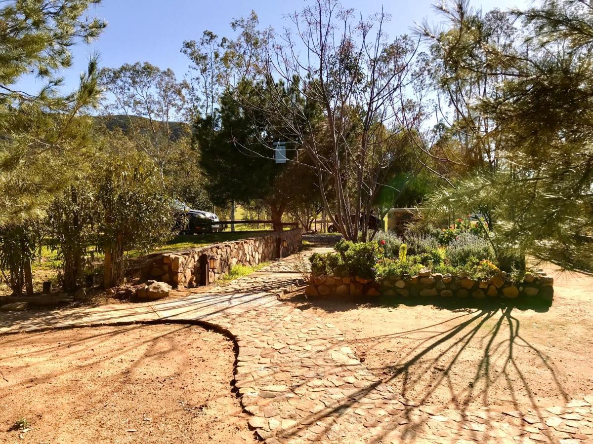 Casa Mayoral B&B Pet Friendly Valle de Guadalupe Luaran gambar