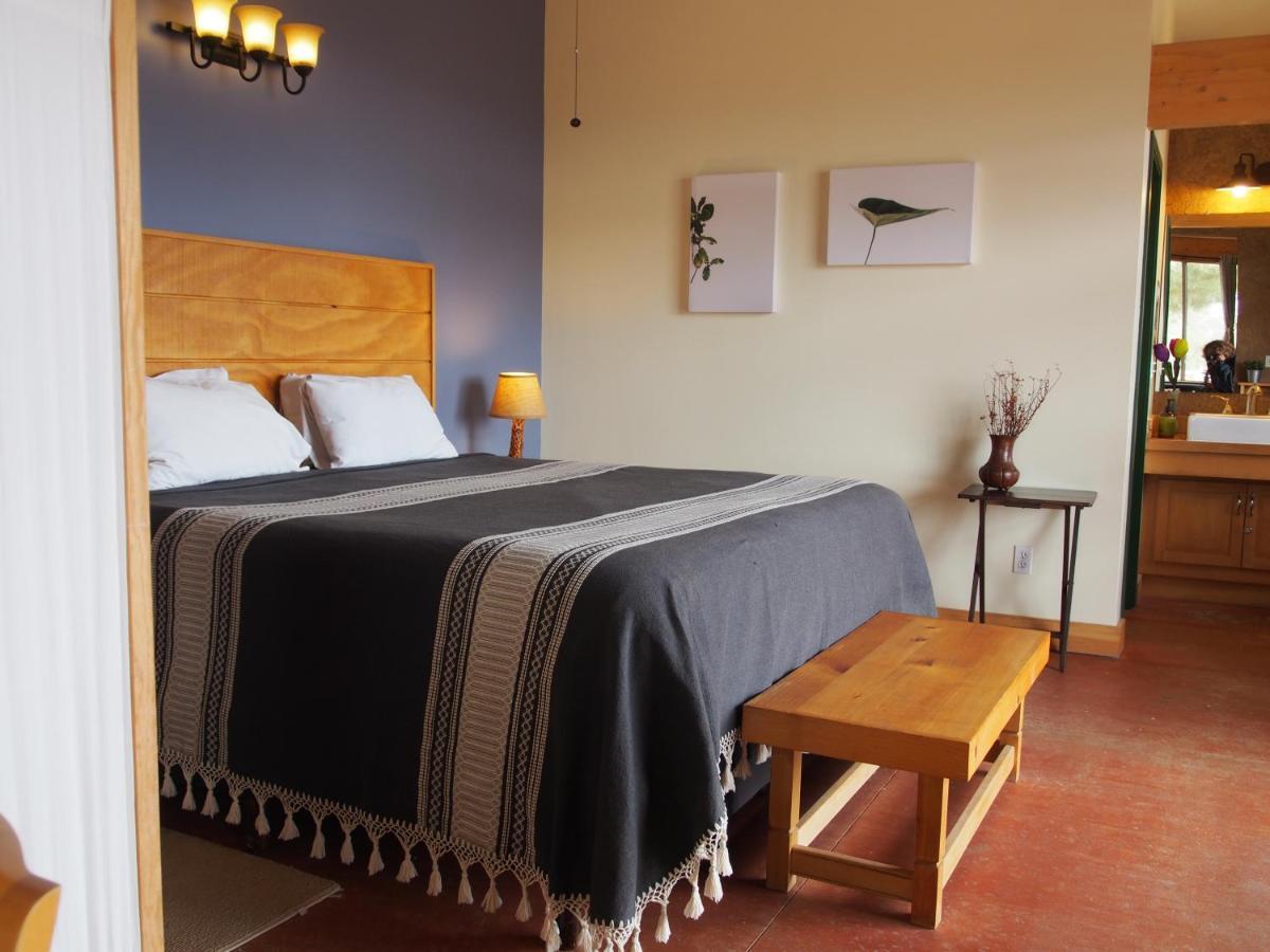 Casa Mayoral B&B Pet Friendly Valle de Guadalupe Luaran gambar