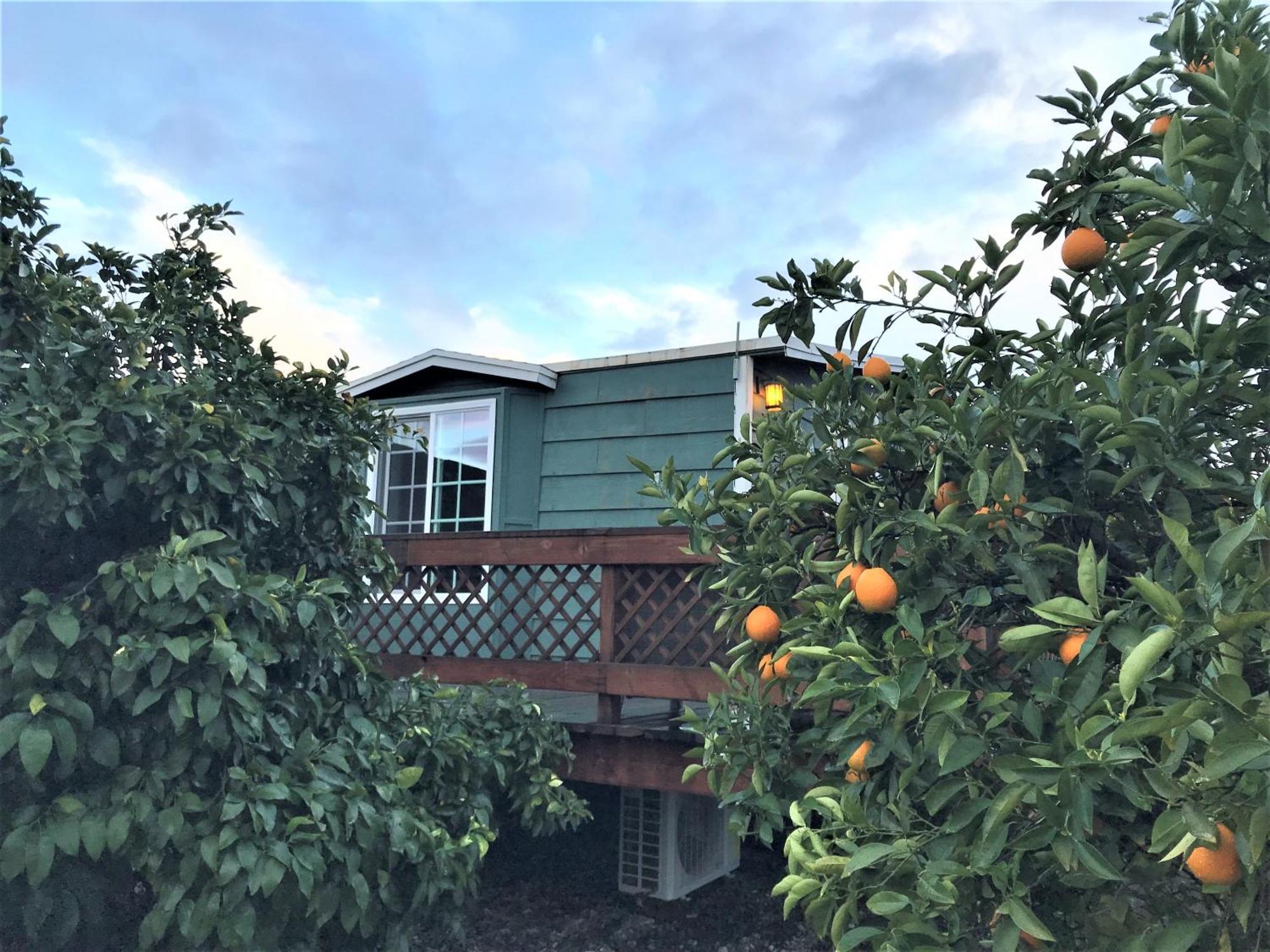 Casa Mayoral B&B Pet Friendly Valle de Guadalupe Luaran gambar