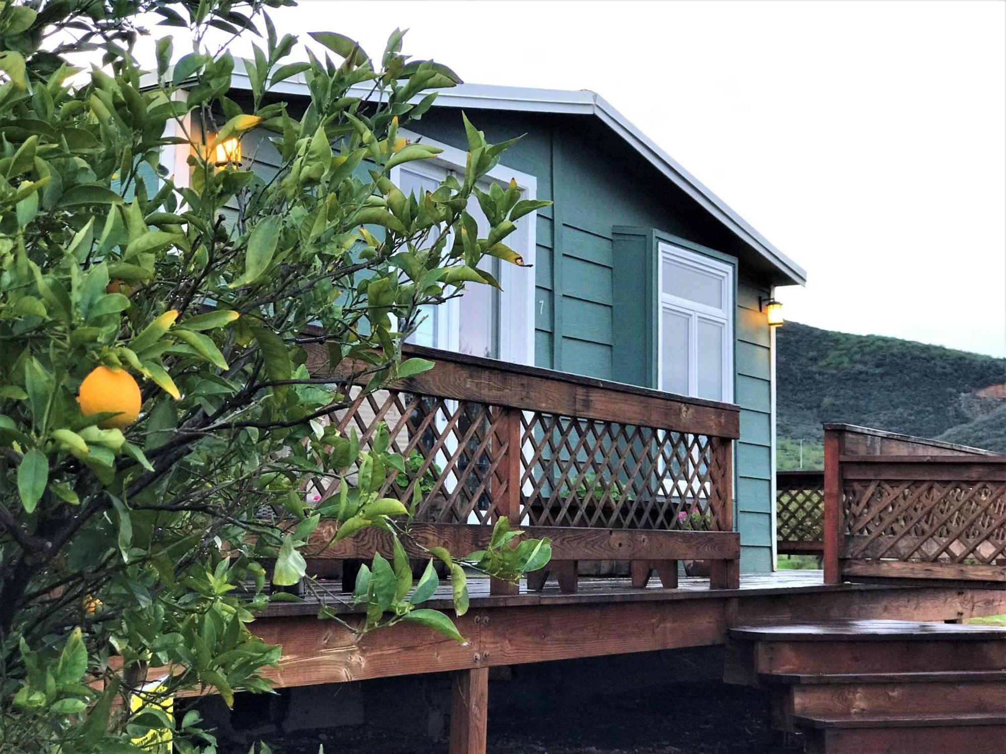 Casa Mayoral B&B Pet Friendly Valle de Guadalupe Luaran gambar
